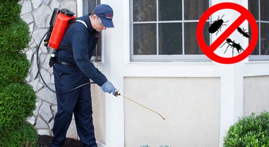 Konyaaltı Kemirgen İlaçlama böcek ilaçlama ve haşere kontrolü — ilaclama-tr.com